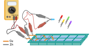 A A Corso Di Bioinformatica 2 Per Il Clm In Biologia Evoluzionistica
