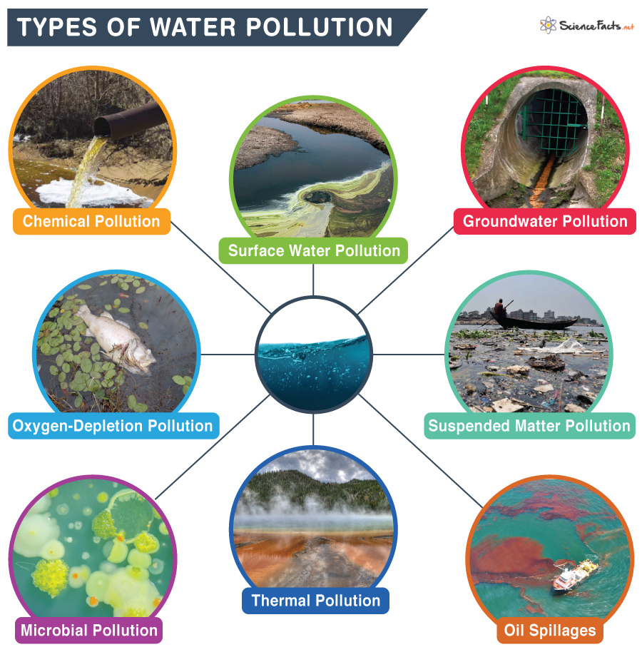 A Green Poster With Some Information About The Different Types Of Water