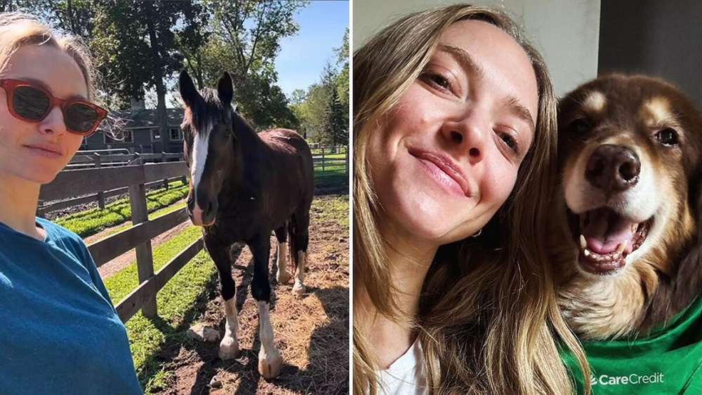 Amanda Seyfried On Why Leaving Hollywood Was The Best Decision