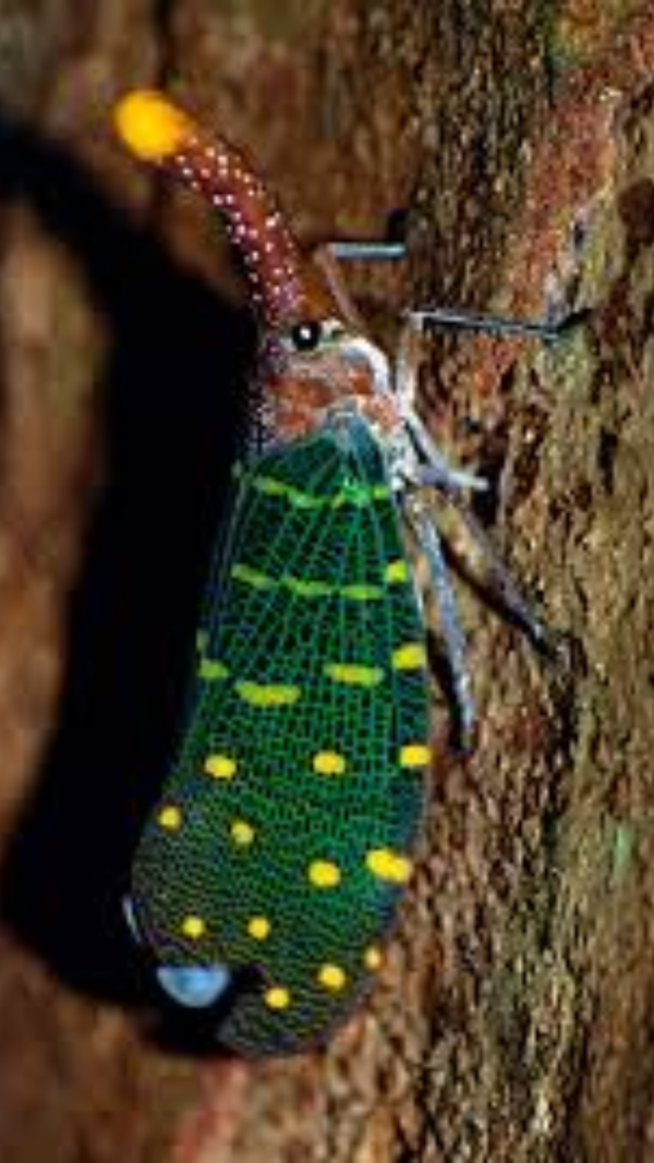 America S Learning Gap Isn T Inevitable Harvard Researchers Reveal 3 School Strategies That Actually Work The Times Of India