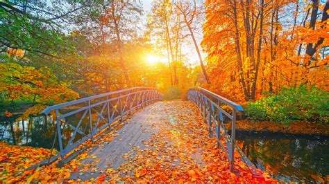 Autumn Serenity A Stunning Hd Wallpaper Of Fall In The Park