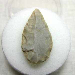 Why Big Leaf With 8 Points Matters For Quick Plant Id