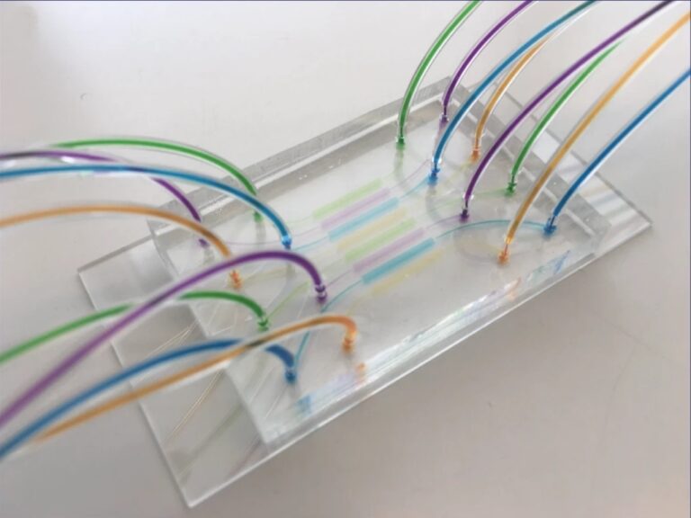 A Quiet Lab Morning: Count C. Elegans Embryos Reveal Their Secrets