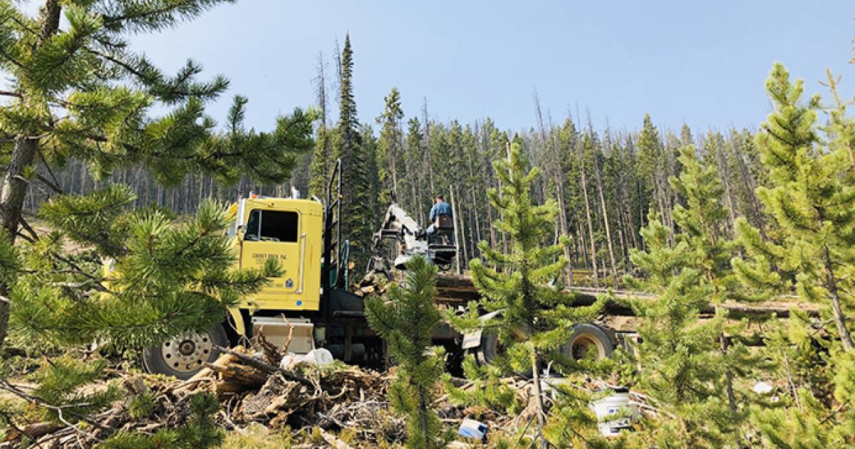 Dbiden Gave Million Blm: Definitive Guide To The Claim And Sources