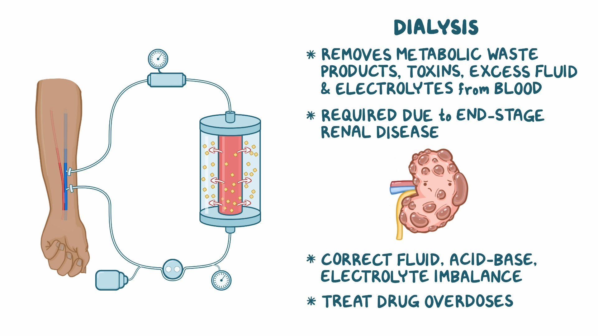 Does Dialysis Destroy Your Heat: Myths, Risks, And Coping Tips For Patients