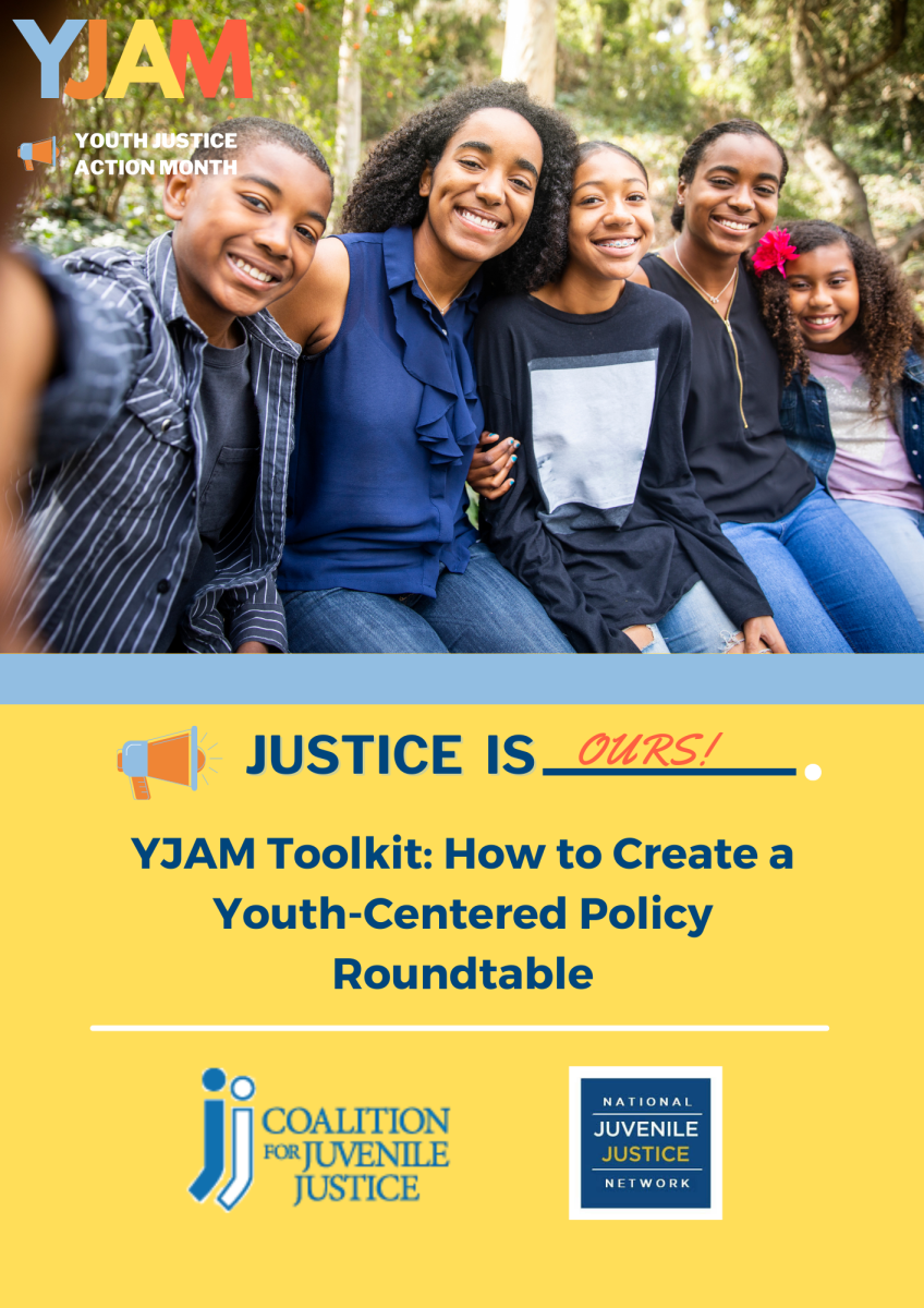 Fact Sheets Toolkits National Youth Justice Network Nyjn