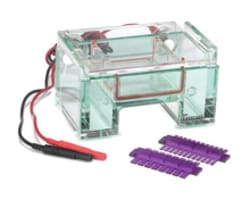 Gel Electrophoresis Equipment And Supplies Fisher Scientific
