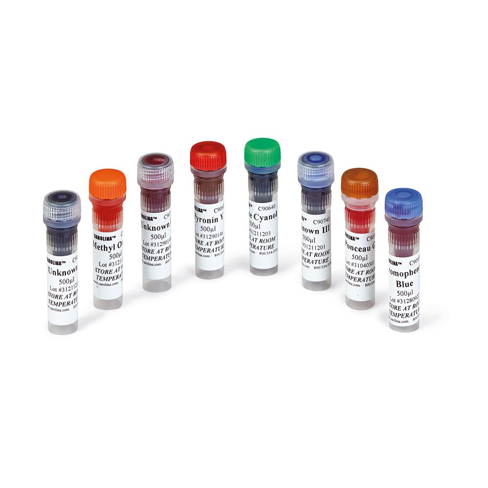 Introductory Gel Electrophoresis Kit