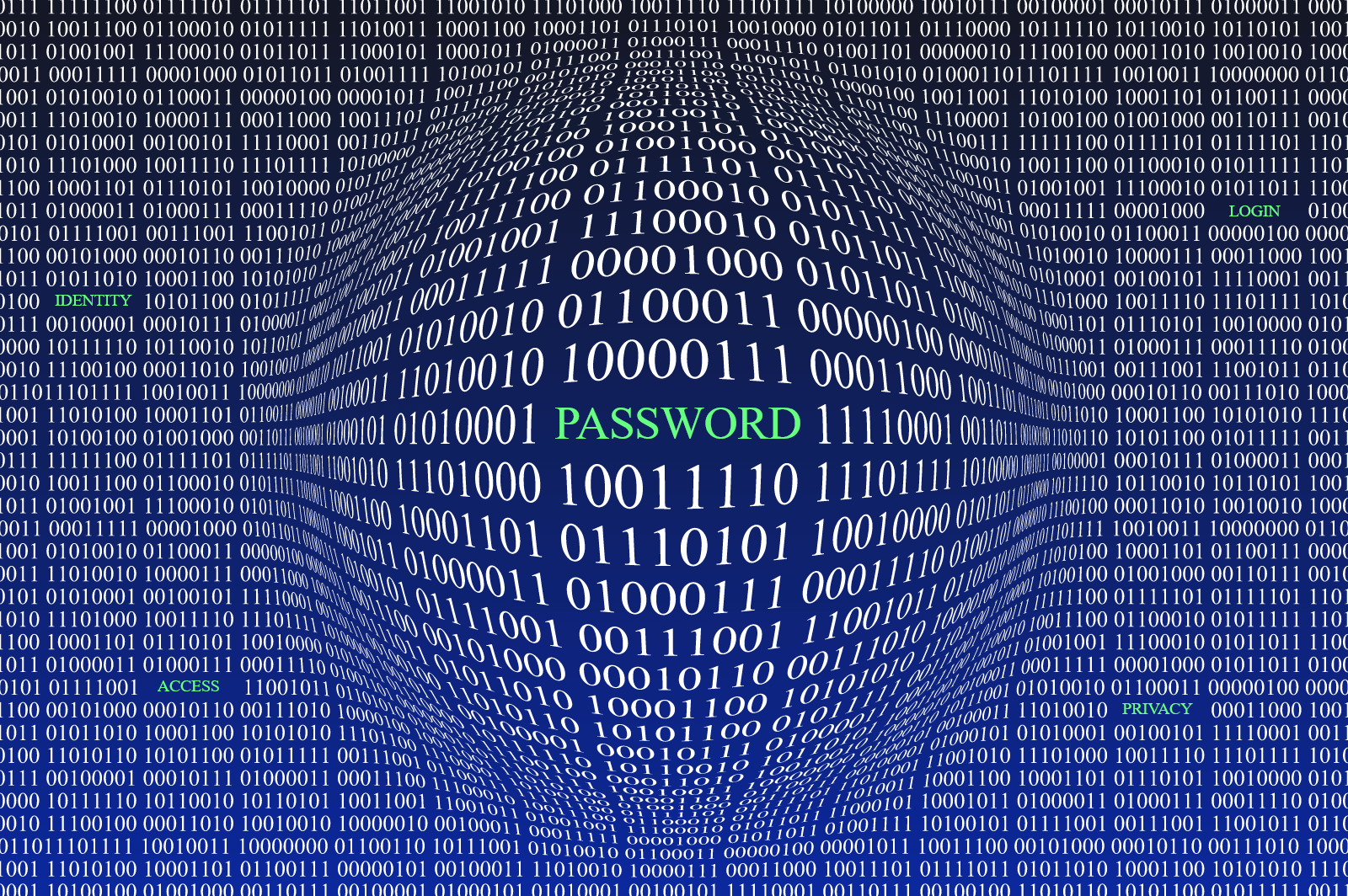 Spotting Is Identity Fraud A Cmt: Myths And Real Risks