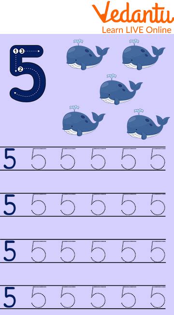 Master Writing The Number 5 Step By Step Guide