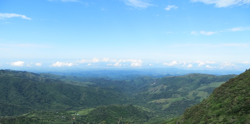 How Do Mtsu Graduate Students Biology Navigate Research And Funding?