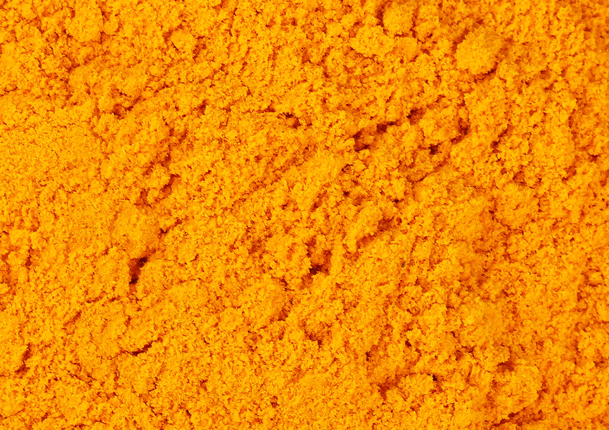 Demystifying Omegia Level 111 Plates: A Simple Guide