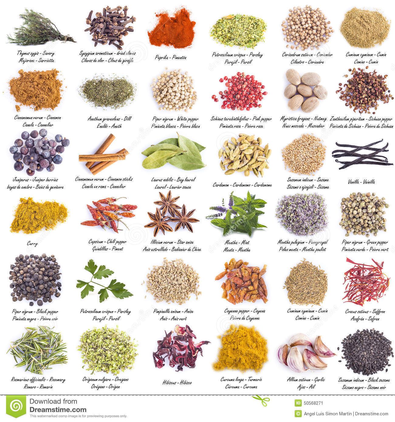 Spices And Their Uses Pdf At Steven Reynolds Blog