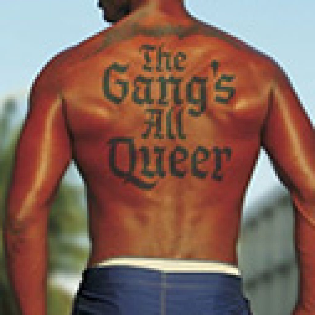 The Gang S All Queer The Lives Of Gay Gang Members Alternative Criminology 9 Panfil Vanessa R 9781479870028 Amazon Com Books