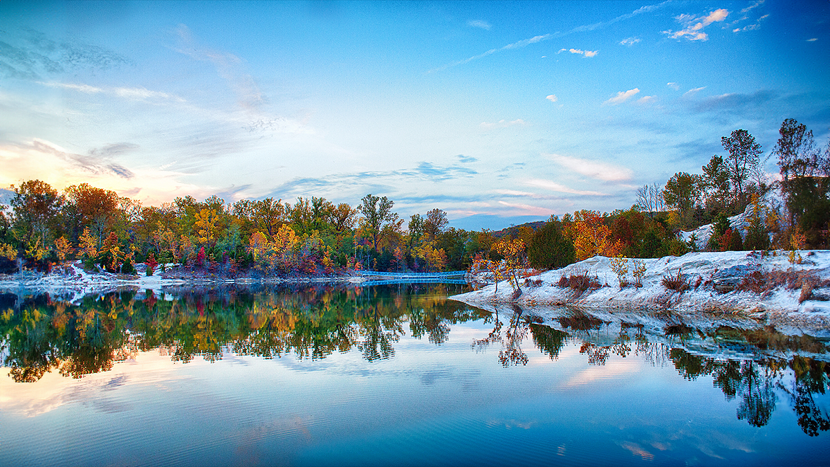 The Serenity Of The Fabled A Unicorn And Dragon S Peace Unfocussed Photography Art
