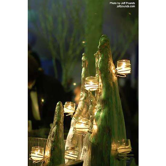 Origin Of To Hear The Cypress Knees: Southern Folklore Phrase