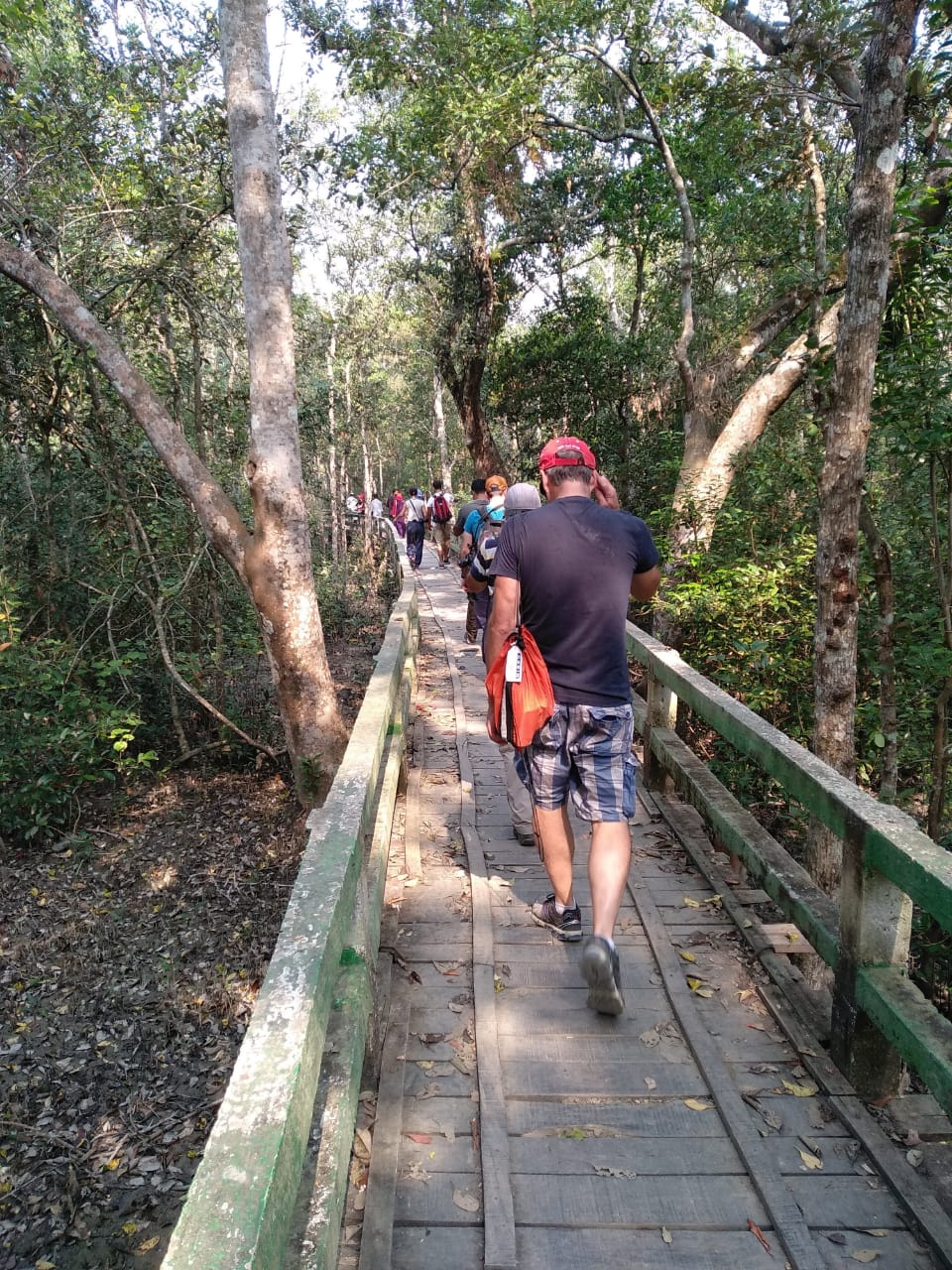 Unveiling Bangladesh Amp 39 S Unesco Treasures Exploring Bagerhat Paharpur And Sundarbans