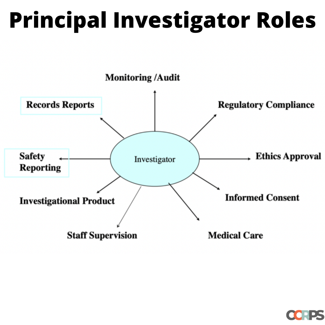 What Is The Role Of A Principal Investigator In A Clinical Trial
