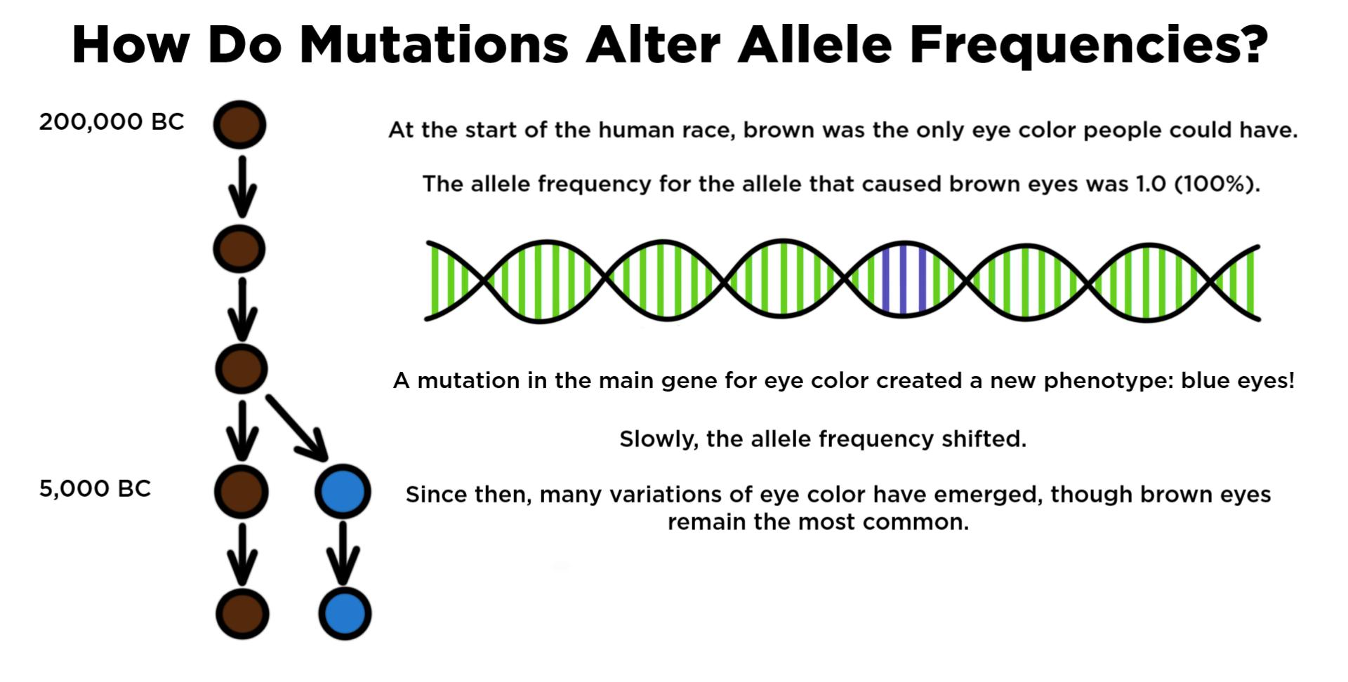 What Mutation Gives People Wings: Science, Fiction, And Reality